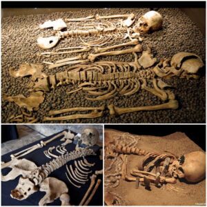 Incomplete Remains: Delving into the Enigma of Legless Skeletons Unearthed at an Archaeological Site