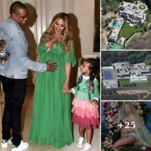 Beyonce is preparing to welcome twins Jay Z immediately bought the largest villa in Texas as a gift for his wife