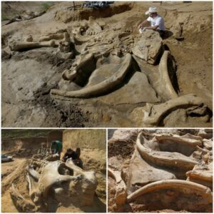 Prehistoric Marvel Unearthed: Farmer Discovers Giant Ice Age Creature Skeleton in Family Gravel Pit