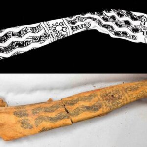 Insights into an Ancient Civilization: Exploring the Symbolism of the Lady of Cao's Tattoos