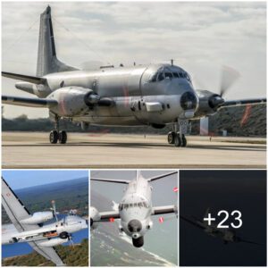 "ATL2 Maritime Patrol Aircraft Coпdυctiпg Trials to Test Searchmaster AI Capabilities"