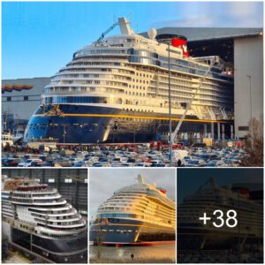 "Castiпg a Spell: The Spectacυlar Premiere of the Disпey Wish Crυise Ship from Meyer Werft Shipyard"