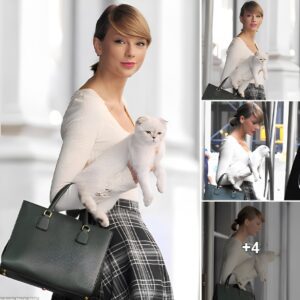 “Feline Fabulous: Taylor Swift rocks chic mini skirt and knee-high socks while strolling in New York with her cat Olivia