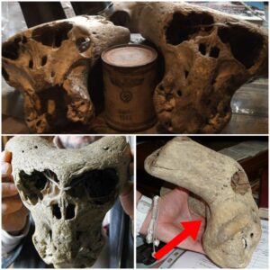 Unsolved Enigma: Delving into the Mystery of the Bolshoi Tjach Skulls