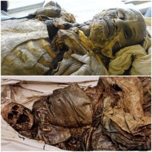 Remarkable Discovery: Guano Mummy of Ecuador Unlocks Clues to a Puzzling Global Medical Phenomenon