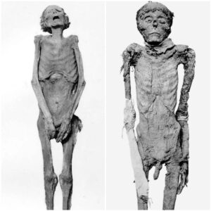 The Enigmatic Neskhon: Unveiling the Secrets of an Ancient Mummy