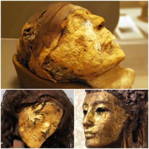 Resplendent Secrets: Delving into the Story of the Gold-Faced Egyptian Mummy