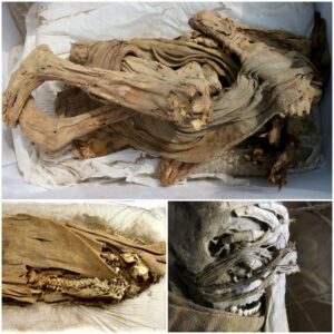 Preservation of History: Peru's Archaeological Site Reveals Nearly 1,000-Year-Old Child Mummy