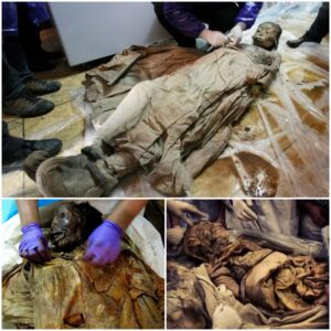 Liquid Time Capsule: Ancient Brown Substance Protects 700-Year-Old Mummy with Remarkable Preservation