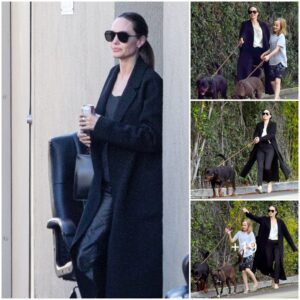 Angelina Jolie and daughter Vivienne, 11, walk the family's dogs... before actress takes son Pax, 16, with her to movie studio