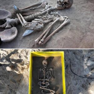 Unearthing Secrets: Stunning Copper Age Necropolis Reveals 22 Tombs and Archaeological Riches