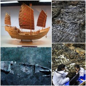 Beneath the Waves: The Fascinating Story of the Nanhai One Shipwreck and Its Priceless Cargo