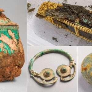 From Rags to Riches: Man's Fortunes Transformed by Unearthing 1,000-Year-Old Ancient Jar