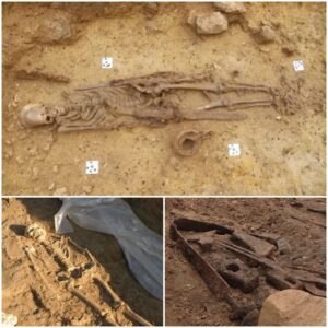 Guardian of the Past: Intact Grave of an Ancient Warrior Discovered in Germany after 1,300 Years