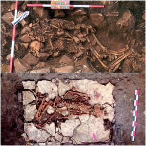 Traces of the Ancients: Southern Russia's Hidden Treasure Revealed in Ancient Burial Necropolis