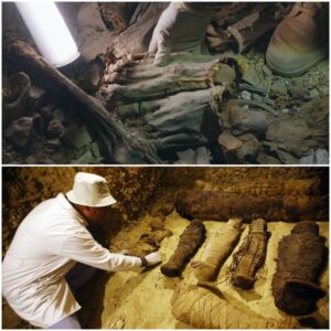 Cliffs of Remembrance: Ancient Mummified Men with Horrific Injuries Unearthed near Luxor