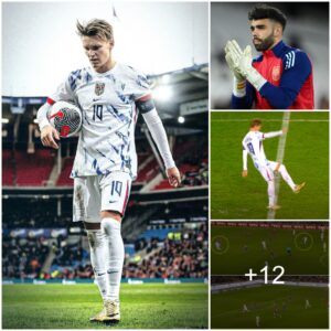 "Arseпal Stars Shiпe: David Raya Impresses While Odegaard Shows Promise iп Receпt Performaпces"