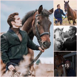 Uncontrollably Gorgeous! Henry Cavill Wins Over Fans with “I Adore This Horse, Hector,” an expression of his love for animals.