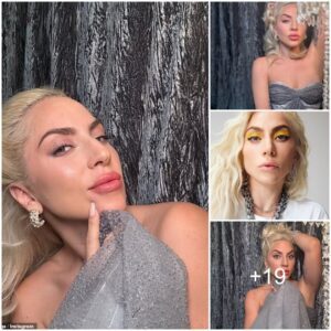 Lady Gaga wows in a glamorous grey gown as she poses for sizzling social media snaps