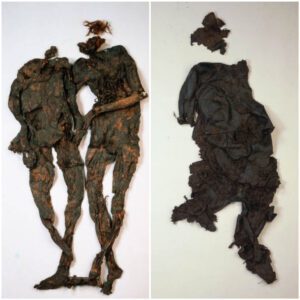 The Enigmatic Weerdinge Men: Ancient Bog Bodies Hold Clues to the Past