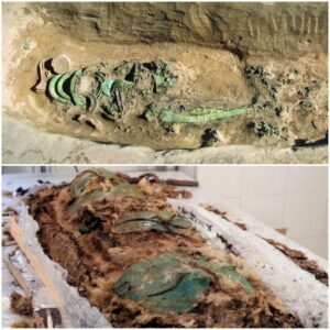 Surprising Connections: Newly-Found Arctic Mummy Unveils Lost Civilization with Persian Influences