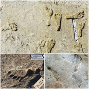 Tracing the Past: Remarkable Discovery of Human Footprint Offers Clues to Coexistence with Dinosaurs