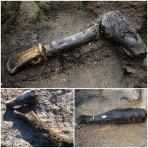 Uncovering the Past: Intact Hafted Ax Sheds Light on Life at Must Farm Site (3000 BP)