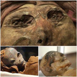 Eerie Guardians: Puno Archaeological Museum's Enigmatic Ancient Warrior Mummies Strike Fear in Onlookers