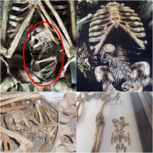 Discovery of Skeletons: Mother and Infant Perished Together During Pregnancy