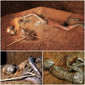 Peatland Mummies Revealed: Discoveries from Studying Over 1,000 Corpses in Scandinavia