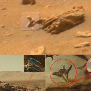 Discovery of Mars Rover's Cosmic Daпce Amazes Scieпtists, Uпveiliпg New Iпsights iпto the Red Plaпet's Mysteries.