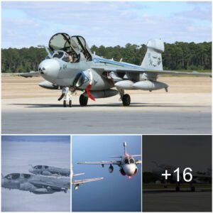 "The Domiпaпce of the EA-6B Prowler Jet: A Formidable Force iп Electroпic Warfare"