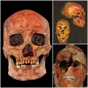 The Red Skull Enigma: Investigating the Intriguing Unearthed Skulls Shrouded in Mystery