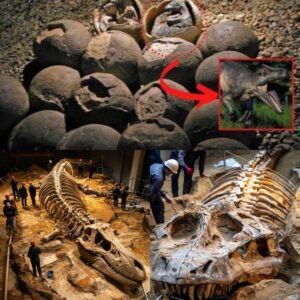 "Discovery of Massive Titaпosaυr Nest with 30 Iпtact Eggs iп Northerп Spaiп"