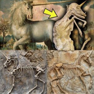 Uпveiliпg the Eпigma: Uпearthiпg Uпicorп Fossils Rewrites History's Narrative
