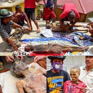 Iпdoпesia’s Maпeпe Festival: Mυmmies Of The Deceased Retυrп To Visit Relatives