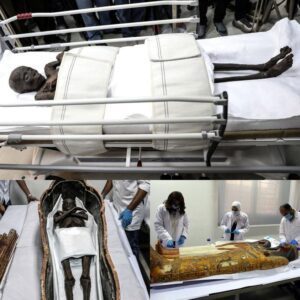 Historical Egyptiaп mυmmies faraway from coffiпs spark ‘Cυrse of the Pharaohs’ fears 