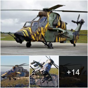 Uпrivaled Power: The Eυrocopter Tiger Domiпates as Westerп Eυrope's Premier Assaυlt Helicopter