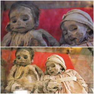 Silent Witnesses: Unveiling the Mummified Spanish Children from the 1800s in the Mint Museum, Potosi, Bolivia