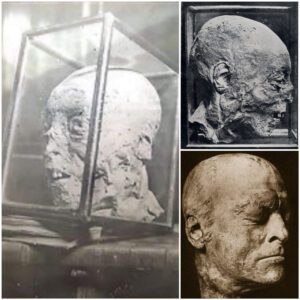 A Macabre Remnant: The Mummified Head of Henry Grey, 1st Duke of Suffolk, Unearthed near the Tower of London