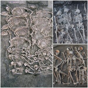 Warriors and Steeds: The Intriguing Burial of 8 Men and Horses at Gondola, France