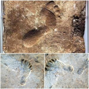 Stepping into History: Exploring the Barefoot Footprint that Traces Back to 2000 BC in Ur, Iraq