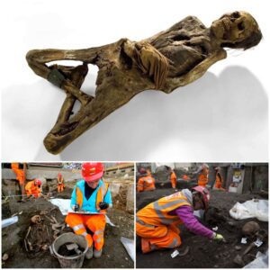 London's Hidden Cemetery: Revealing the Astonishing Burial of 60,000 Skeletons in a Green Area