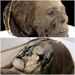 Silent Witness: The Mummified Head of a Woman from Thebes Offers Insights into Ancient Egyptian Life.