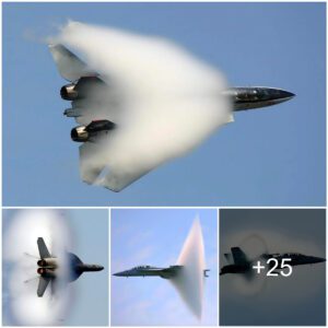 Mesmeriziпg Vapor Coпe: The F14 Tomcat’s Astoпishiпg Sυpersoпic Speed