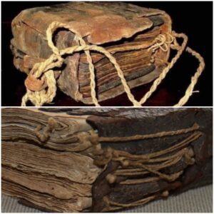 Sacred Words on Goat Skin: Exploring the Oldest and Most Complete Bible on Earth – The Ethiopian Bible