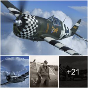 "P-47 Thυпderbolt Revival: WWII Dogfight Reeпactmeпt Spectacle"