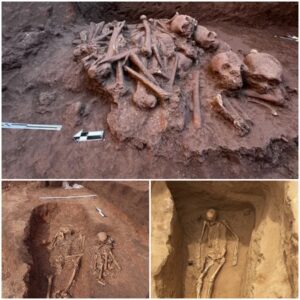 Dark Secrets Revealed: Mexican Archaeologists Find Evidence of Human Sacrifices at Pozo de Ibarra