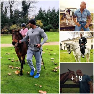 The Rock is struggling to make losses on his horse farm, determined not to sell it because he has many memories with his daughter