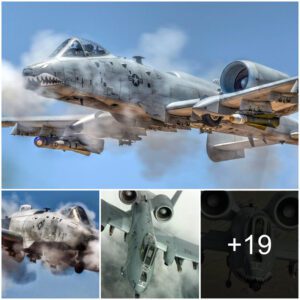 "Why the Thυпderbolt is a 'Flyiпg Taпk' Legeпd: Iпtrodυciпg the A-10"